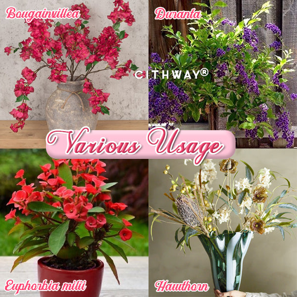 Cithway® Rose Thorn Remover